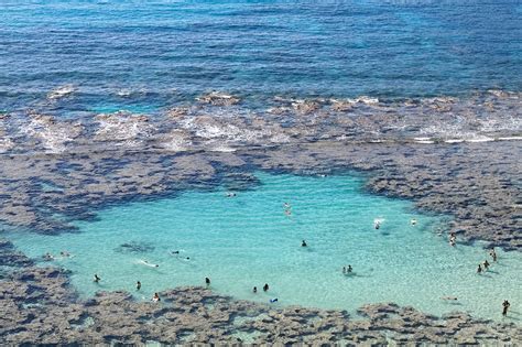 snorkeling in hanauma bay | Paradise Adventure Tours