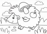 Hedgehog Coloring Page  Free Printable Coloring Pages sketch template