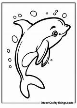 Dolphin Drawings Outlines Sketch Coloring Page sketch template
