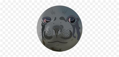 Download Hd Another Crying Seal Meme Redrawn I Like Doing - Cartoon Png ...