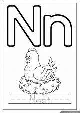 Letter N Worksheets Flash Cards Coloring Pages sketch template