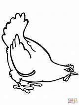Big Fat Hen coloring Page  Free Printable Coloring Pages sketch template