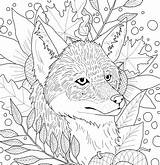 Fall Fox Downloadable Coloring Page  Etsy sketch template