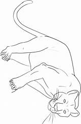 Black Panther Coloring Page  Free Printable Pages sketch template