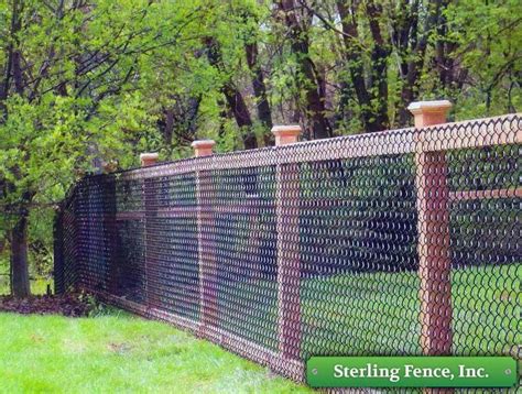 chain link fence ideas pictures - Ambrose Stout