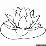 Lily Pad Coloring Image Free Printable Lily Pad Coloring Pages For sketch template