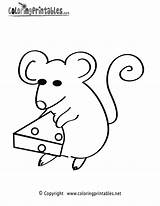 Mouse Coloring Page  A Free Animal Printable sketch template