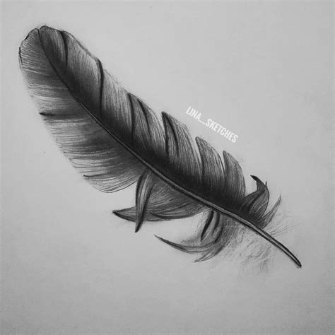 How to draw realistic feather | Realistic drawings, Sketch instagram ...