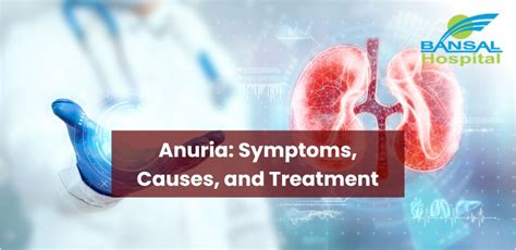 Anuria: Symptoms, Causes, And Treatment | Bansal Hospital