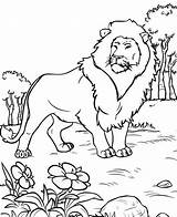 Printable Lion Coloring Pages For Kids sketch template