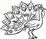 Free Printable Peacock Coloring Pages For Kids sketch template
