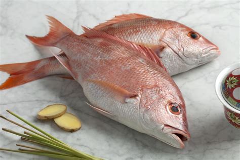 7 Amazing "Do It Yourself" Red Snapper Recipes.