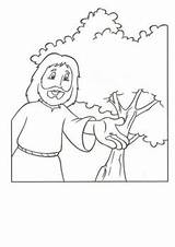 Mustard Seed Parable Coloring Page Printable Sketch sketch template