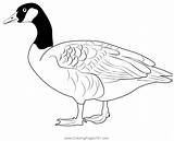 Manic Goose Entitlementtrap Colouring Ausmalbilder Malvorlagen Svg  sketch template