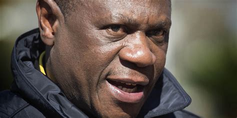 Mashatile’s ANC deputy president bid takes shape with Limpopo backing