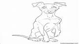 Miniature Pinscher Coloring Pages At GetDrawings  Free Download sketch template