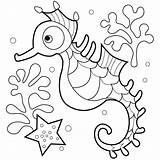 Free Printable Seahorse Coloring Pages For Kids sketch template