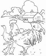 Farm Coloring Pages  Home sketch template