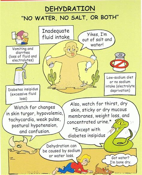 17 Best images about Fluid & Electrolytes on Pinterest | Nursing schools, Before running and ...