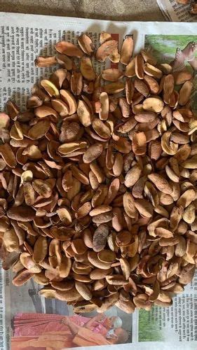 Brown Dried Mahua Seeds, For Agriculture, Packaging Type: Loose at Rs 30/kg in Pratapgarh