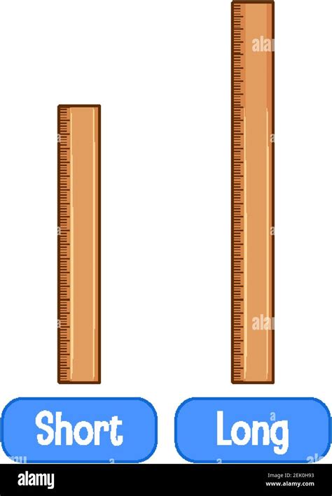 Opposite adjectives words with short ruler and long ruler illustration Stock Vector Image & Art ...