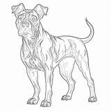 Dog Coloring Pages Realistic  Mimi Panda sketch template