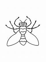 Fly 1 coloring Page sketch template