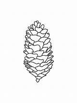 Pine Cone coloring Pages sketch template