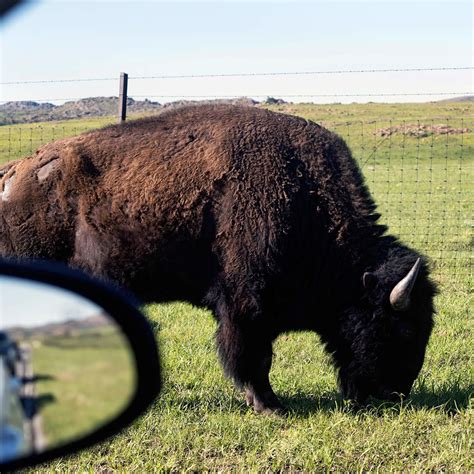 Nebraska's Wildlife Safari Park in Ashland, NE (5 Photos)