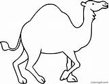 Camel Coloring Pages  ColoringAll sketch template