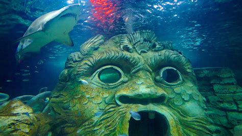Sydney Aquarium in Sydney, New South Wales | Expedia