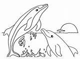 Free Printable Dolphin Coloring Pages For Kids sketch template