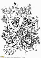 Cool Flower Coloring Pages For Adults sketch template