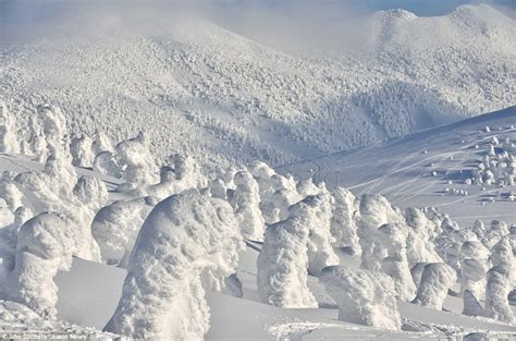 Powder Safari - Hokkaido, Japan - MINT Snowboarding