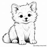 Baby Wolf Coloring Pages  Free & Printable sketch template