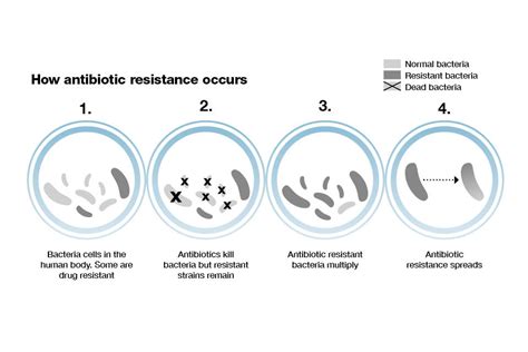 Antibiotic Resistance Graph