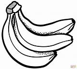 Banana Coloring Page sketch template