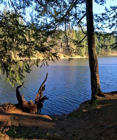 Lacamas Park Trail (Camas) - 2018 All You Need to Know Before You Go (with Photos) - TripAdvisor