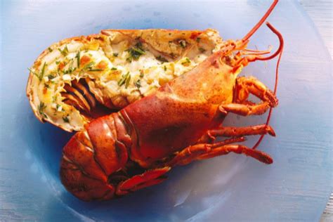 12 Types Of Lobster: Delicious In Every Season