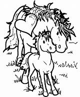 Kawaii Horse Coloring Page  Home sketch template
