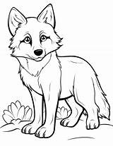 50 Wolf Coloring Pages Printable Sheets sketch template