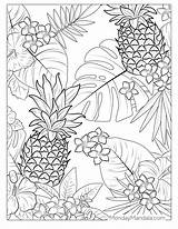 Luau Coloring Pages sketch template