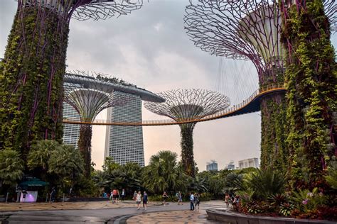 Gardens By The Bay Light Show Singapore OCBC Skyway Singapore Travel ...