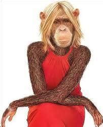 Monkey in a Dress (@MonkeyinaDress) | Twitter