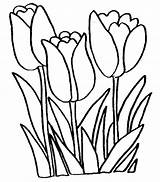 Best Big Flower Coloring Pages Pictures  Free Book Images sketch template