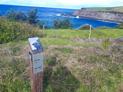 Kiama Coastal Walk - 2020 All You Need to Know BEFORE You Go (with ...