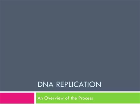 PPT - DNA Replication PowerPoint Presentation, free download - ID:2467778