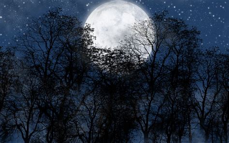 1600x900 resolution | full moon illustration, night, Moon, stars, trees ...