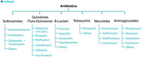 Antibiotics Classification With Examples: Learn all about it here