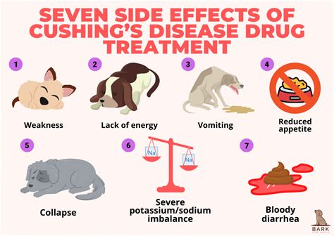 A Comprehensive Guide On Diagnosis And Treatment Of Cushing’s Disease In Dogs | Bark For More